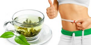 How Green Tea Can Help You Lose Weight Naturally – Your Access to Delicious  Coffee and Tea